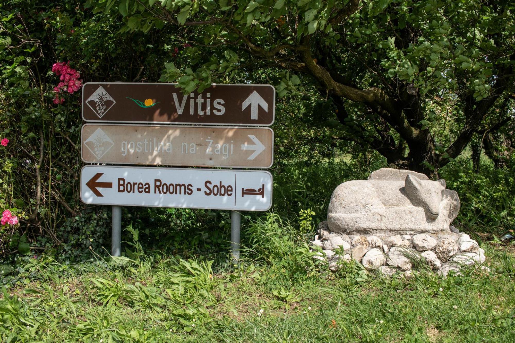 Borea Rooms - Sobe Budanje 维帕瓦 外观 照片